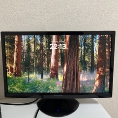 Princeton PTFBIF-22W ディスプレイの画像