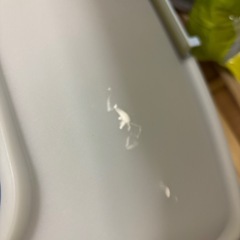 猫のシステムトイレの画像