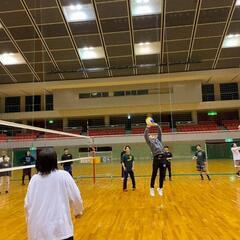 大人の遊び場はここ！🏀🏐🏸