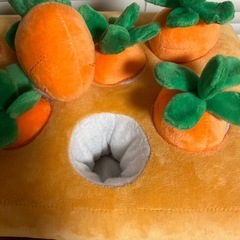 犬用　知育玩具　おもちゃの画像