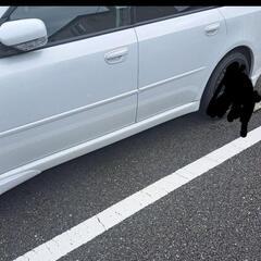 レガシィ B4 BL5 スペックB の画像