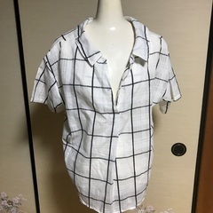 春夏用ブラウス2枚の画像