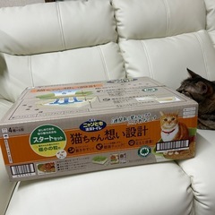 新品　猫トイレの画像