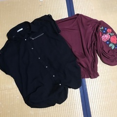 夏　春秋用　シャツ　2枚