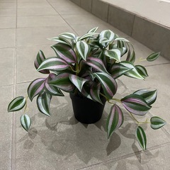 IKEAフェイカの画像
