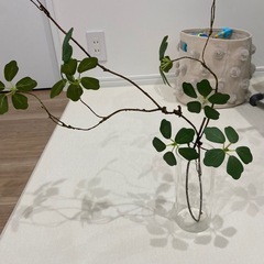 人工緑+ガラス製の花瓶の画像
