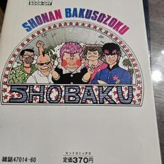 湘南暴走族の画像