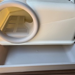 猫トイレの画像