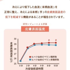 HAKKAN stickの画像