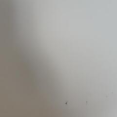 クリアチェアの画像