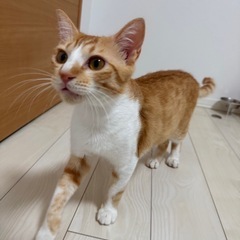 推定9ヶ月の兄妹です