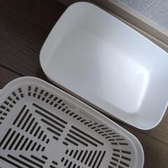 10/31まで　プランターの画像