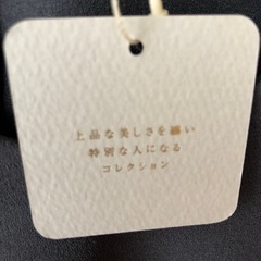 【新品鎌倉シャツ】 Maker's Shirt グレー Vネック 半袖シャツの画像