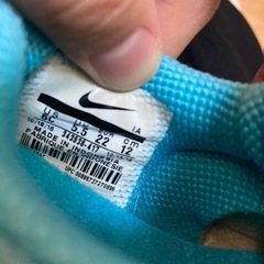 NIKEダイナモフリー12cmの画像