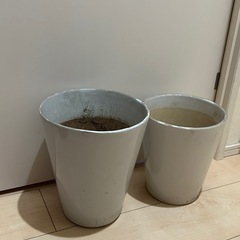 植木鉢まとめて。の画像