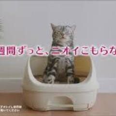 未使用　ユニ・チャーム　デオトイレの画像