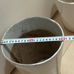 植木鉢まとめて。の画像