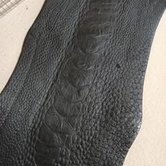 オーストレックの画像