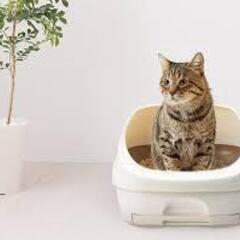 未使用　ユニ・チャーム　デオトイレの画像