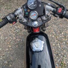 エイプ５０カスタム２００エンジン搭載／TW２００の画像