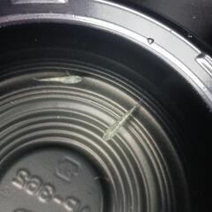 7/13めだか販売の画像