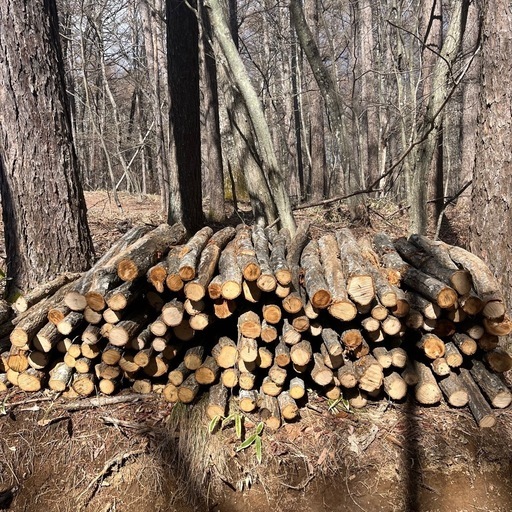 ナラ原木90㎝軽トラック一台分　薪用に