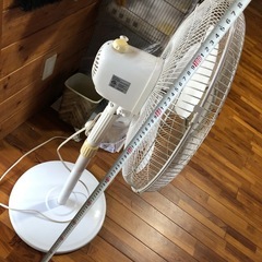 大きめ扇風機の画像