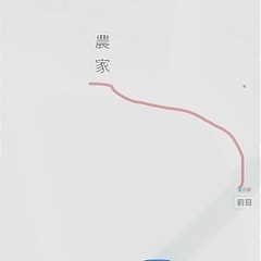 2025年今　銀杏欲しい方あげます の画像