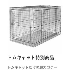 トムキャット超大型ゲージ
