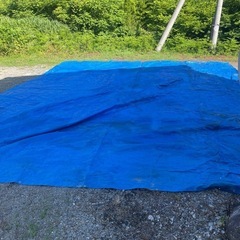 大きなブルーシート　の画像
