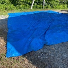 大きなブルーシート　の画像