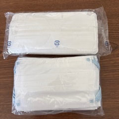 不織布マスク2個セット