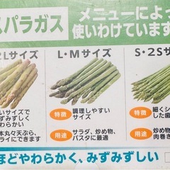 野菜　アスパラ　規格外　細〜太　ミックス　10本1束　200円　　残り3束の画像