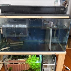 90センチ水槽