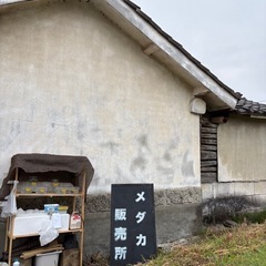 川原田メダカ【メダカ無人販売🐟】移転しました。の画像