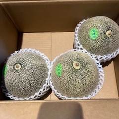 メロン　1個1000円
