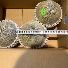 メロン　1個1000円の画像