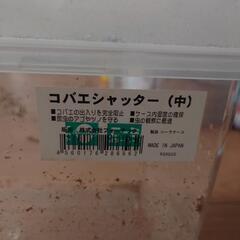 小バエシャッター付き虫かごの画像