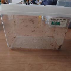 小バエシャッター付き虫かごの画像