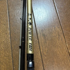 釣竿　船2,磯2,投3,ヘチ1,ルアー1,玉網の竿　計10本の画像