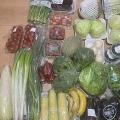 野菜　色々　1個50円〜の画像