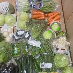 野菜　色々　1個50円〜の画像