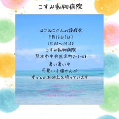 🩷ほごにゃん🩷譲渡会のご案内