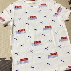 新品タグ付✨PUMA✨キッズ140〜150サイズ✨半袖Tシャツ✨子供服の画像