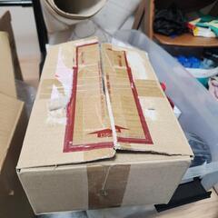 （決定しました）牡蠣殻 カキガラ 水槽 熱帯魚の画像