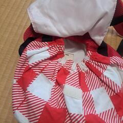 インセクトコレクション　てんとう虫　リュックの画像