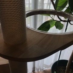 お値下げ　キャットタワー　の画像