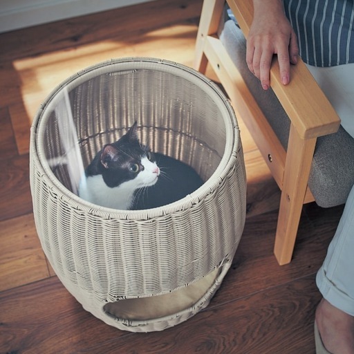 【新品】キャットハウス 上からのぞけるキャットハウス ハイタイプ 猫 ねこちぐら