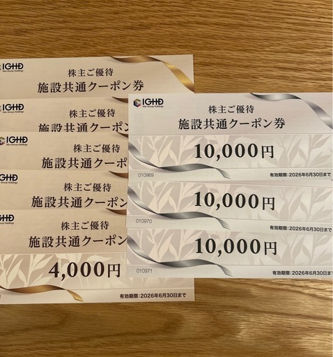 5万円分　
飯田グループホールディングス株主優待施設共通クーポン