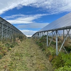 【東川町】太陽光発電所草刈作業員の画像